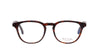 #colour_dark-tortoise-1