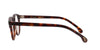 #colour_dark-tortoise-1