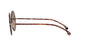 Paul Smith ALFORD SUN Dark Tortoise/Green #colour_dark-tortoise-green