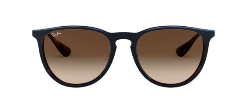 Ray-Ban Erika RB4171 Brown-Brown #colour_brown-brown