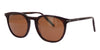 Serengeti Arlie Dark-Tortoise-Brown-Polarised #colour_dark-tortoise-brown-polarised