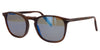 #colour_brown-blue-polarised