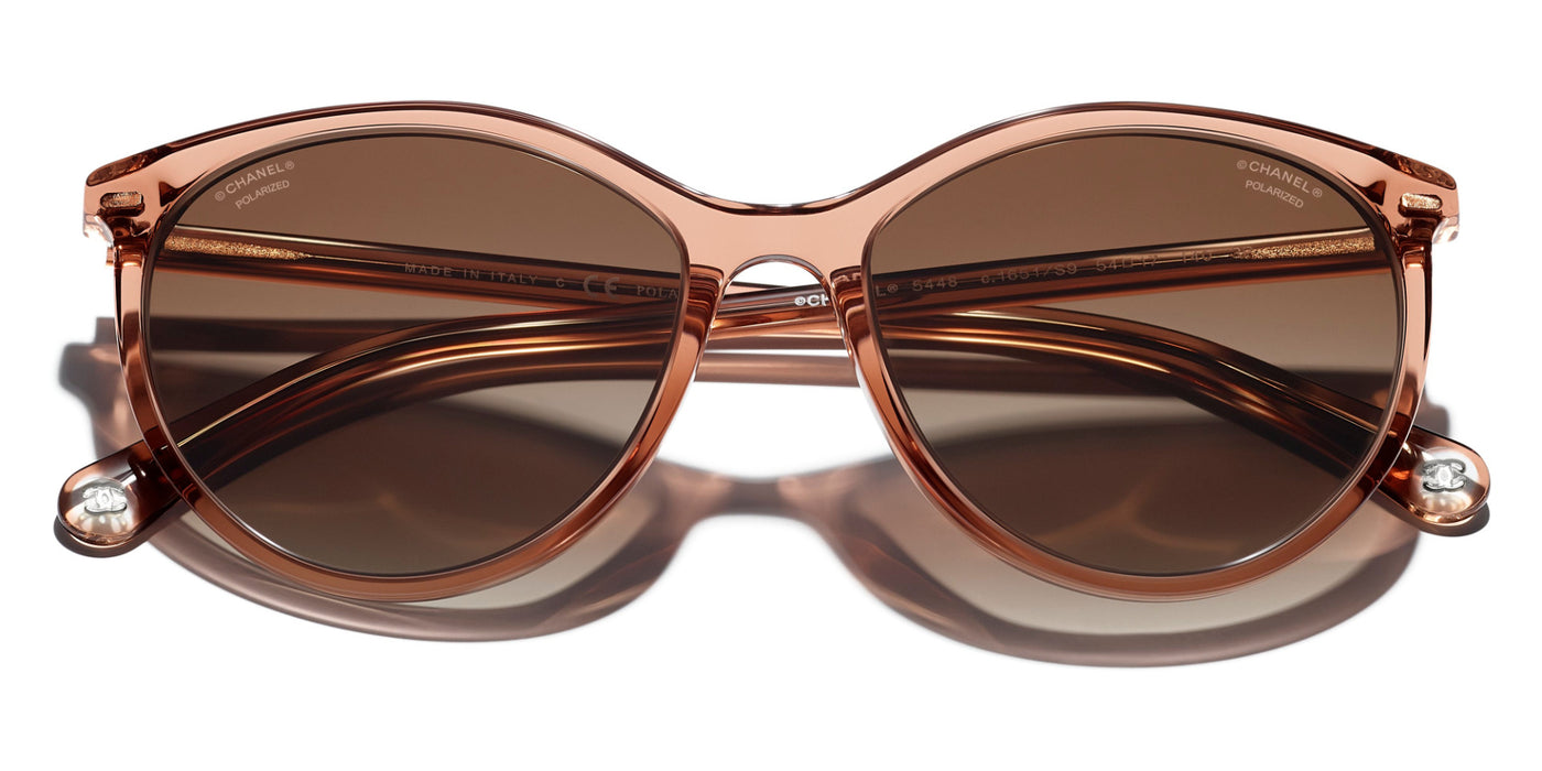 CHANEL 5448 Pantos Acetate Sunglasses